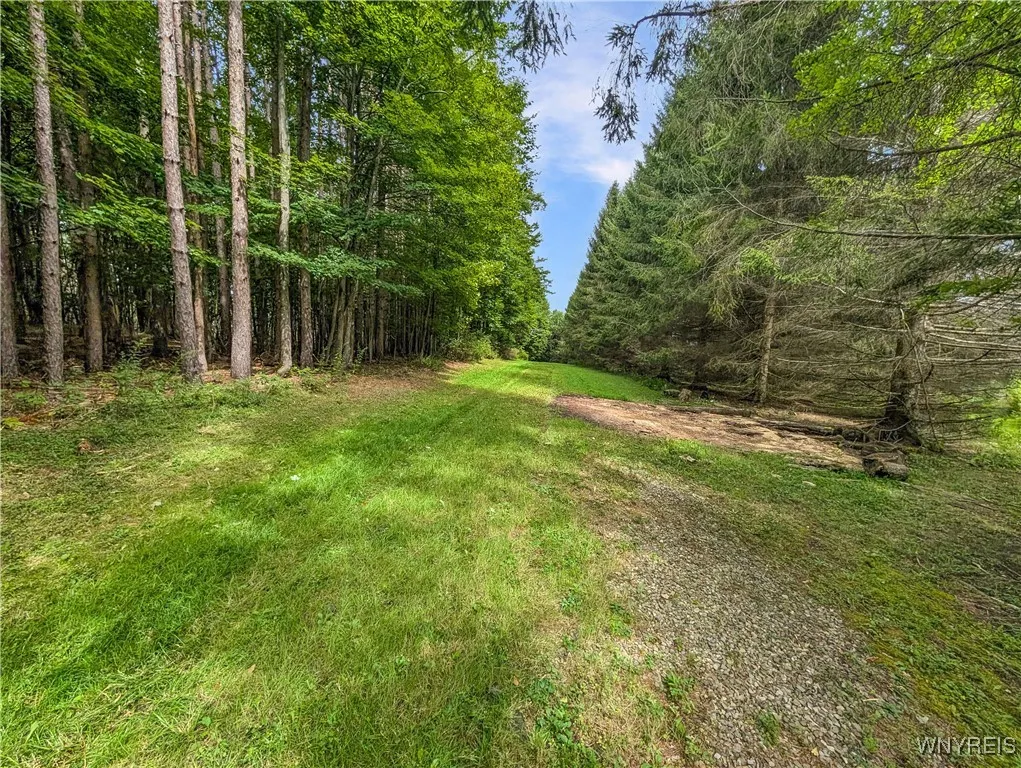 00 Beebe Hill Road, Cuba, New York 14727, Cuba, New York 14727, ,Land,For Sale,00 Beebe Hill Road, Cuba, New York 14727,B1633342