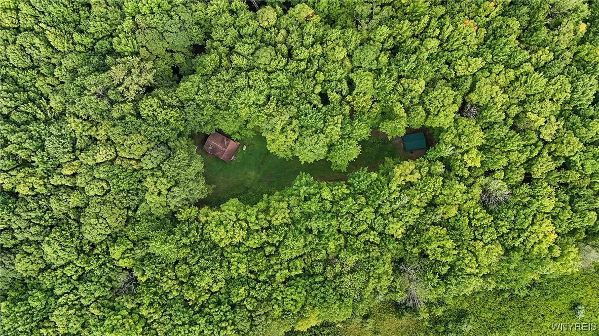 00 Beebe Hill Road, Cuba, New York 14727, Cuba, New York 14727, ,Land,For Sale,00 Beebe Hill Road, Cuba, New York 14727,B1633342