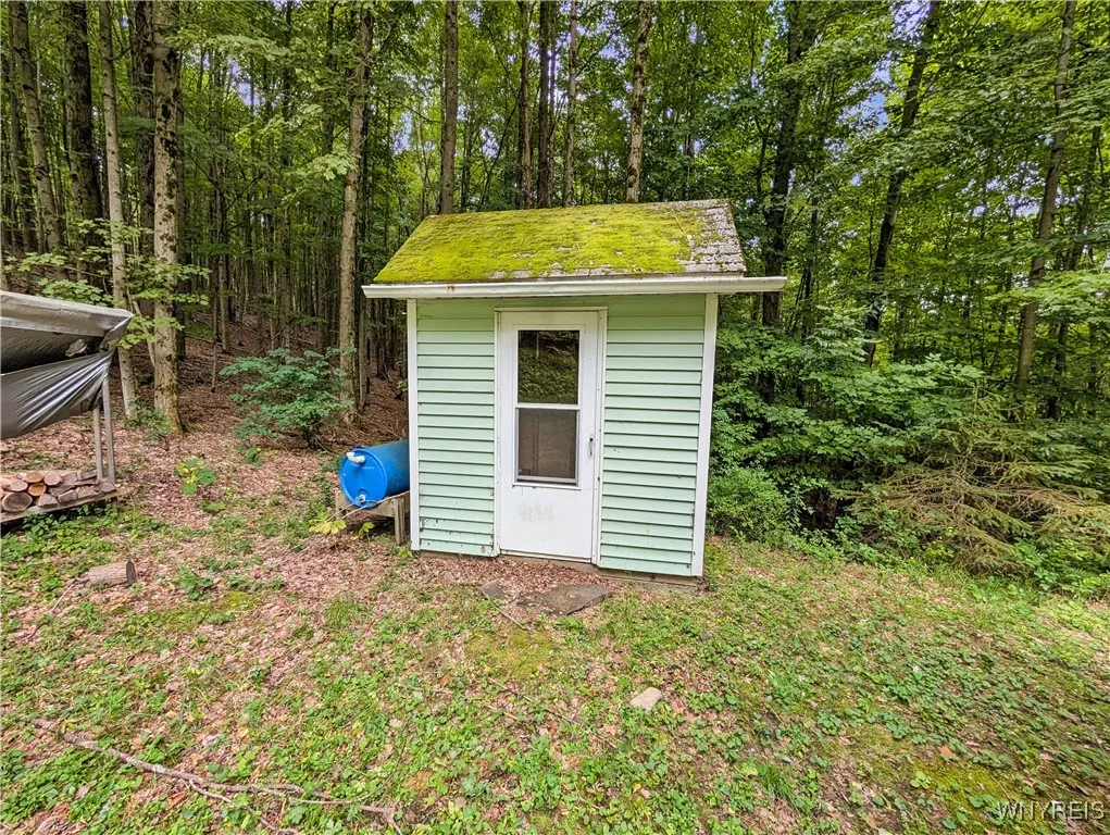 00 Beebe Hill Road, Cuba, New York 14727, Cuba, New York 14727, ,Land,For Sale,00 Beebe Hill Road, Cuba, New York 14727,B1633342