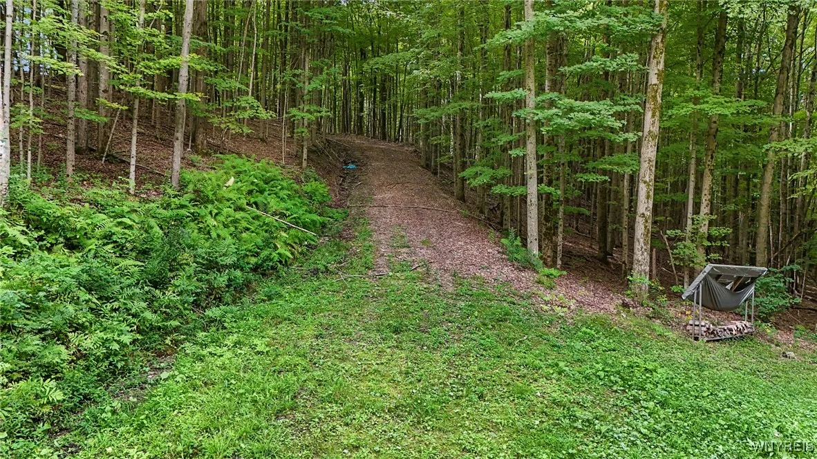 00 Beebe Hill Road, Cuba, New York 14727, Cuba, New York 14727, ,Land,For Sale,00 Beebe Hill Road, Cuba, New York 14727,B1633342