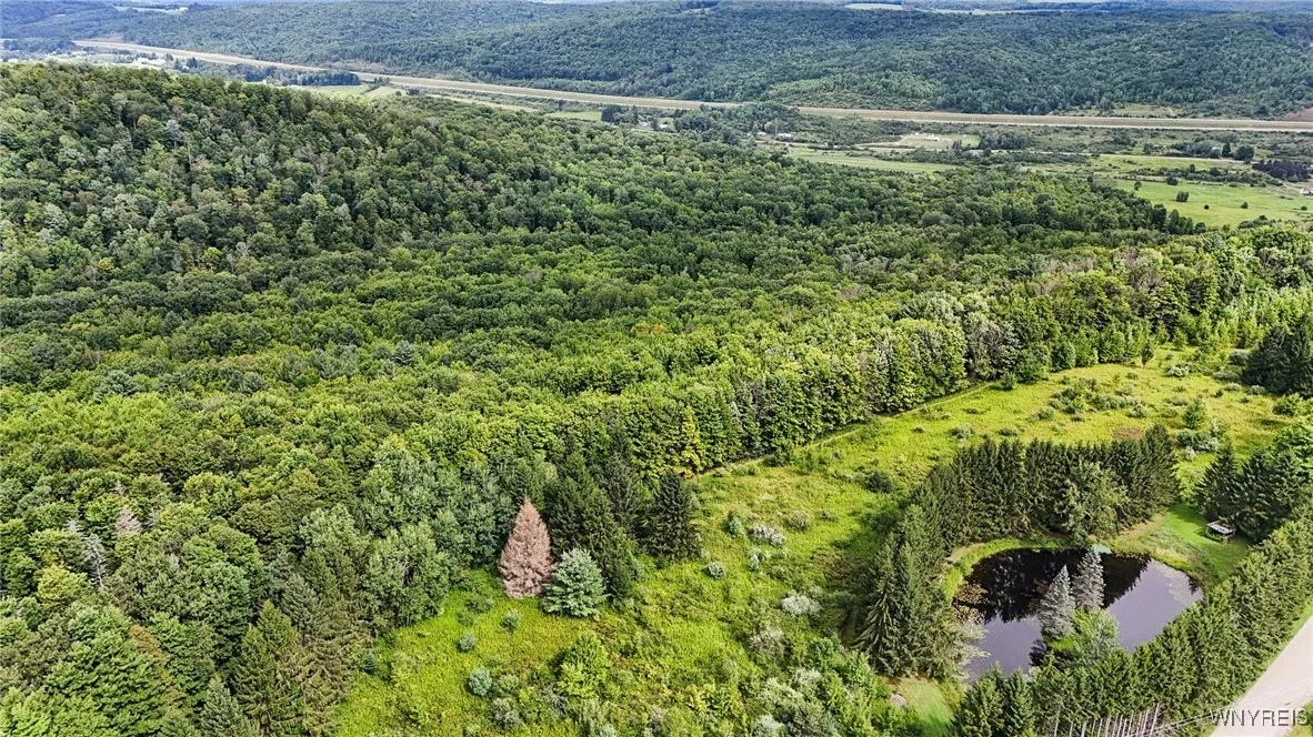 00 Beebe Hill Road, Cuba, New York 14727, Cuba, New York 14727, ,Land,For Sale,00 Beebe Hill Road, Cuba, New York 14727,B1633342