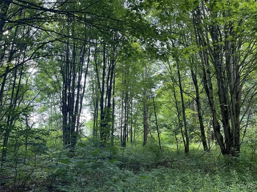 8408 Story Road, Sparta, New York 14437, Sparta, New York 14437, 1 Bedroom Bedrooms, 3 Rooms Rooms,1 BathroomBathrooms,Residential,For Sale,8408 Story Road, Sparta, New York 14437,S1633444