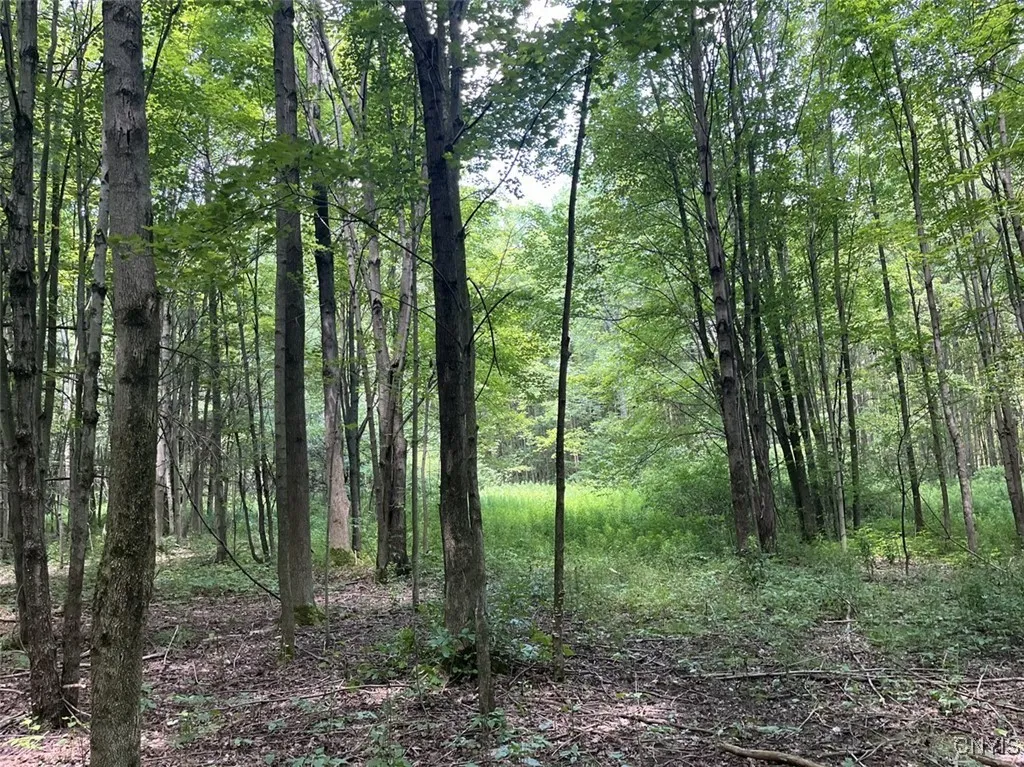 8408 Story Road, Sparta, New York 14437, Sparta, New York 14437, 1 Bedroom Bedrooms, 3 Rooms Rooms,1 BathroomBathrooms,Residential,For Sale,8408 Story Road, Sparta, New York 14437,S1633444