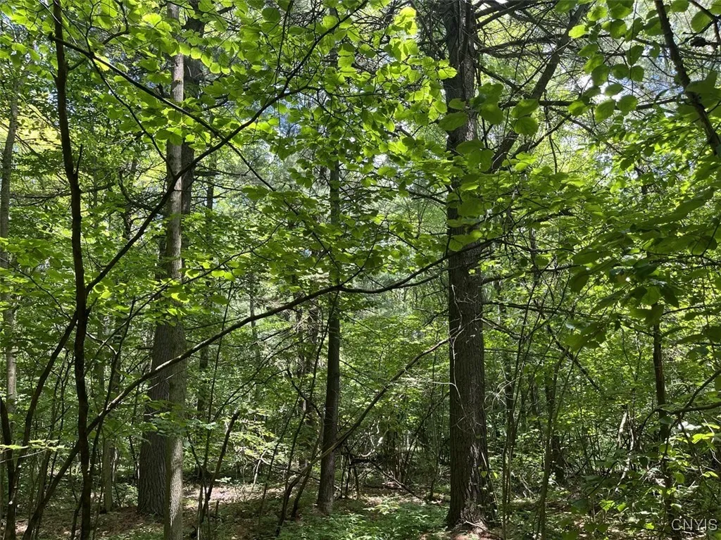 8408 Story Road, Sparta, New York 14437, Sparta, New York 14437, 1 Bedroom Bedrooms, 3 Rooms Rooms,1 BathroomBathrooms,Residential,For Sale,8408 Story Road, Sparta, New York 14437,S1633444