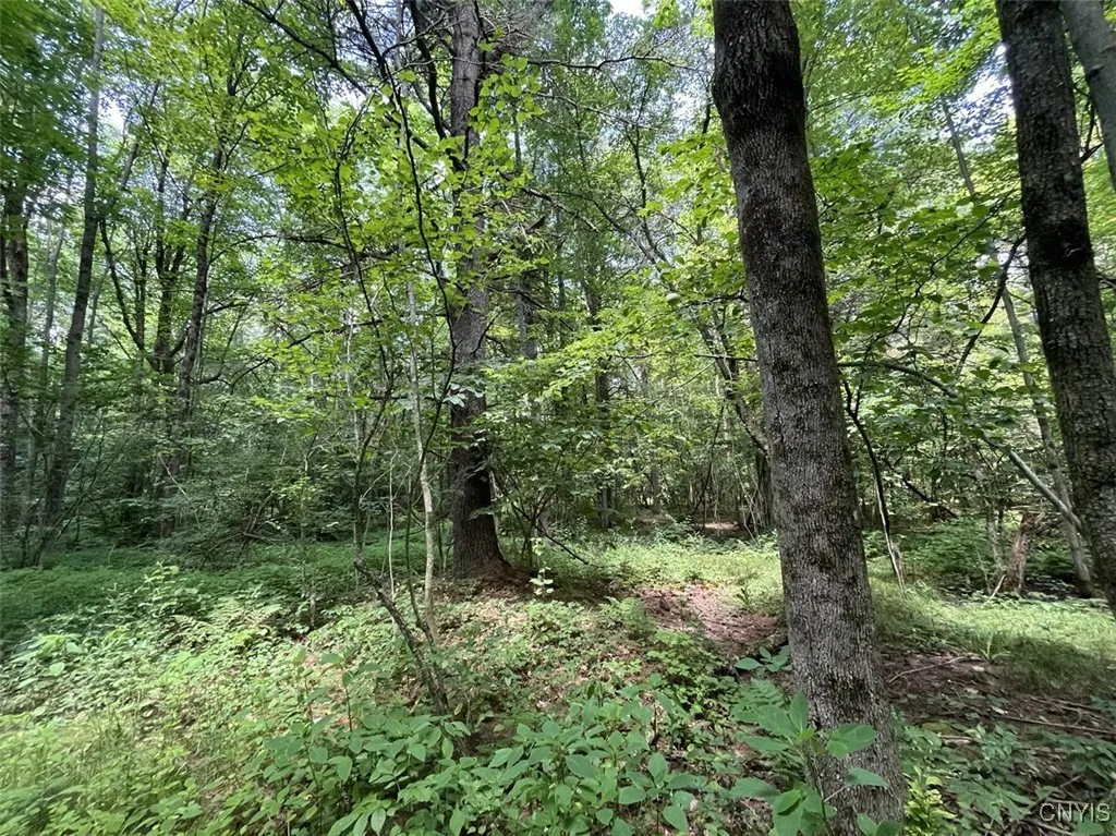 8408 Story Road, Sparta, New York 14437, Sparta, New York 14437, 1 Bedroom Bedrooms, 3 Rooms Rooms,1 BathroomBathrooms,Residential,For Sale,8408 Story Road, Sparta, New York 14437,S1633444