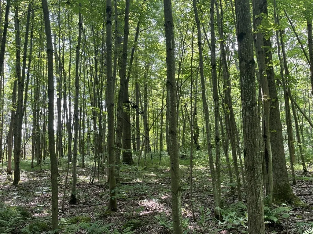 8408 Story Road, Sparta, New York 14437, Sparta, New York 14437, 1 Bedroom Bedrooms, 3 Rooms Rooms,1 BathroomBathrooms,Residential,For Sale,8408 Story Road, Sparta, New York 14437,S1633444