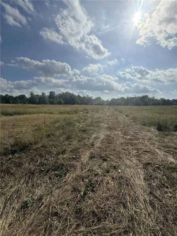 Clay Street, Livonia, New York 14487, Livonia, New York 14487, ,Land,For Sale,Clay Street, Livonia, New York 14487,0,R1633263