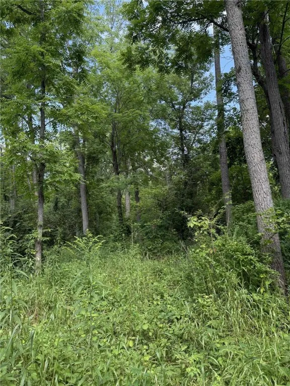 Clay Street, Livonia, New York 14487, Livonia, New York 14487, ,Land,For Sale,Clay Street, Livonia, New York 14487,0,R1633263