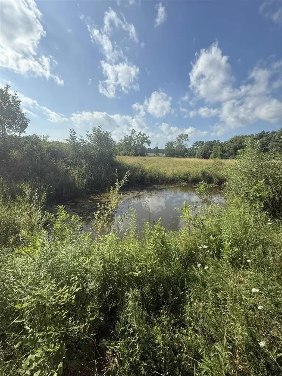 Clay Street, Livonia, New York 14487, Livonia, New York 14487, ,Land,For Sale,Clay Street, Livonia, New York 14487,0,R1633263