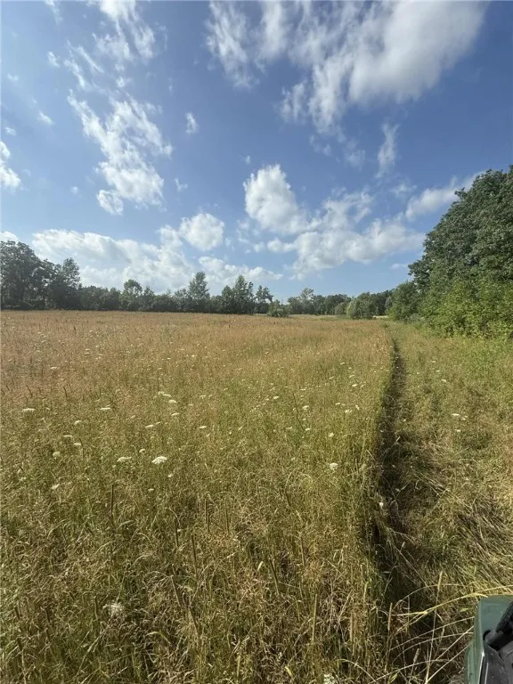 Clay Street, Livonia, New York 14487, Livonia, New York 14487, ,Land,For Sale,Clay Street, Livonia, New York 14487,0,R1633263