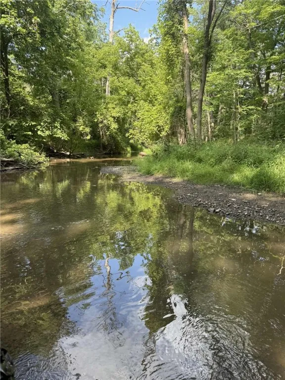 Clay Street, Livonia, New York 14487, Livonia, New York 14487, ,Land,For Sale,Clay Street, Livonia, New York 14487,0,R1633263