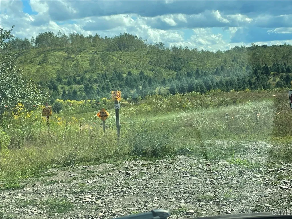 0 Beecher Road, West Turin, New York 13325, West Turin, New York 13325, ,Land,Closed,0 Beecher Road, West Turin, New York 13325,0,S1633414