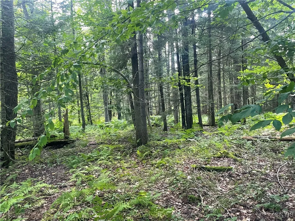 0 Beecher Road, West Turin, New York 13325, West Turin, New York 13325, ,Land,For Sale,0 Beecher Road, West Turin, New York 13325,0,S1633414