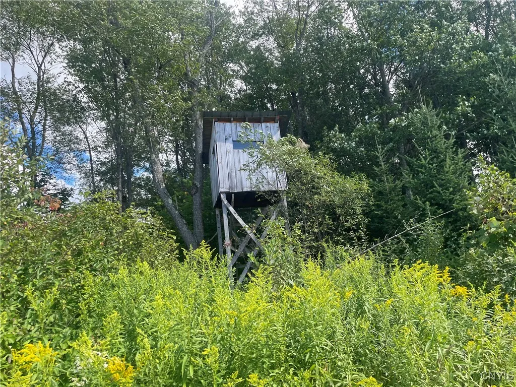 0 Beecher Road, West Turin, New York 13325, West Turin, New York 13325, ,Land,For Sale,0 Beecher Road, West Turin, New York 13325,0,S1633414