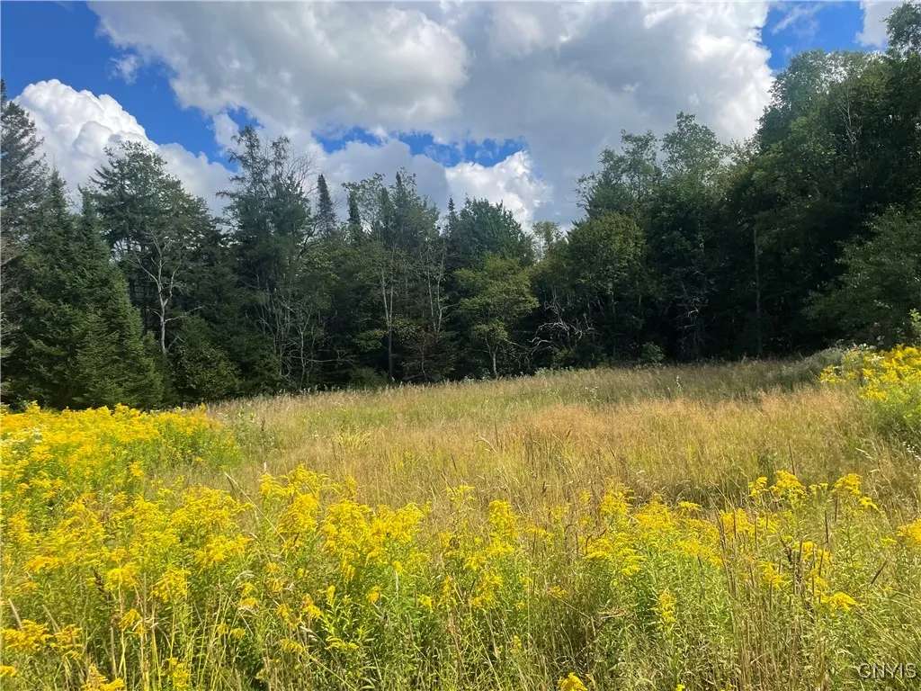 0 Beecher Road, West Turin, New York 13325, West Turin, New York 13325, ,Land,For Sale,0 Beecher Road, West Turin, New York 13325,0,S1633414
