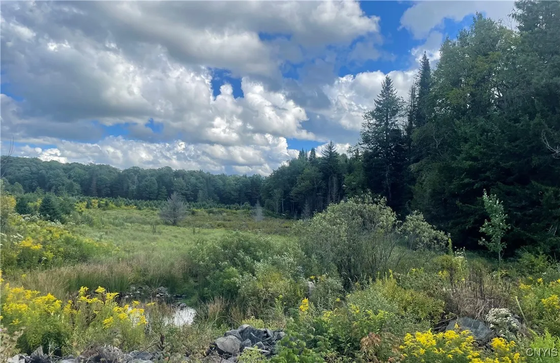 0 Beecher Road, West Turin, New York 13325, West Turin, New York 13325, ,Land,Closed,0 Beecher Road, West Turin, New York 13325,0,S1633414