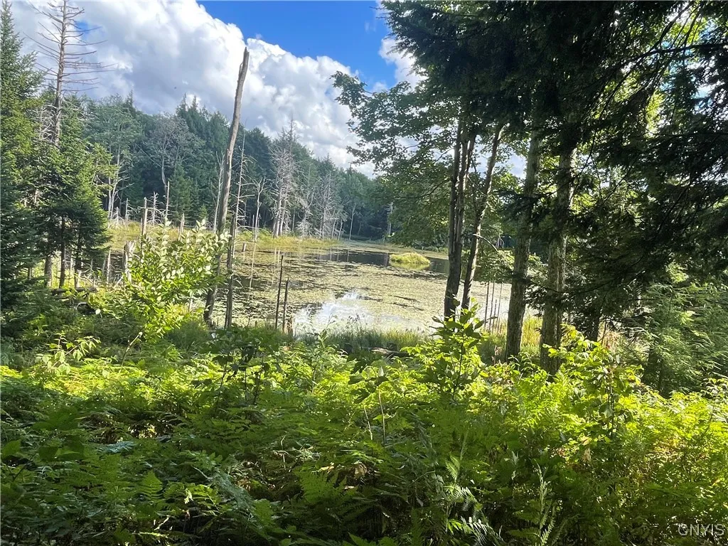 0 Beecher Road, West Turin, New York 13325, West Turin, New York 13325, ,Land,For Sale,0 Beecher Road, West Turin, New York 13325,0,S1633414