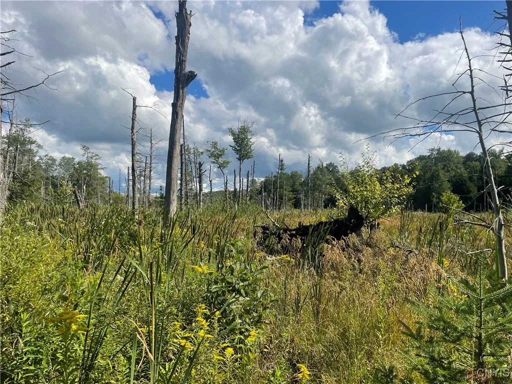 0 Beecher Road, West Turin, New York 13325, West Turin, New York 13325, ,Land,For Sale,0 Beecher Road, West Turin, New York 13325,0,S1633414
