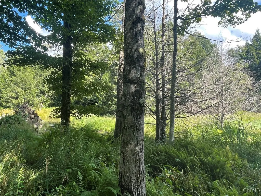 0 Beecher Road, West Turin, New York 13325, West Turin, New York 13325, ,Land,For Sale,0 Beecher Road, West Turin, New York 13325,0,S1633414