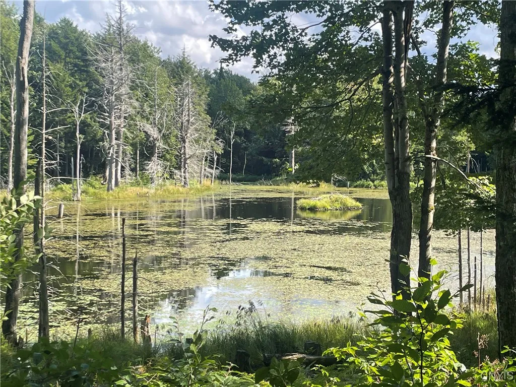 0 Beecher Road, West Turin, New York 13325, West Turin, New York 13325, ,Land,Closed,0 Beecher Road, West Turin, New York 13325,0,S1633414