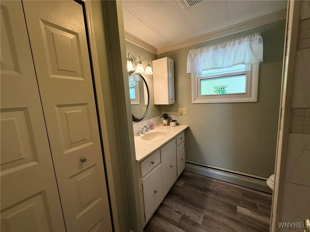 the bathroom with newer vanity and nice-sized linen closet
