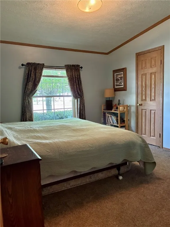 Guest room 1 has plenty of room for a queen or king sized bed, furniture and has a very big closet.