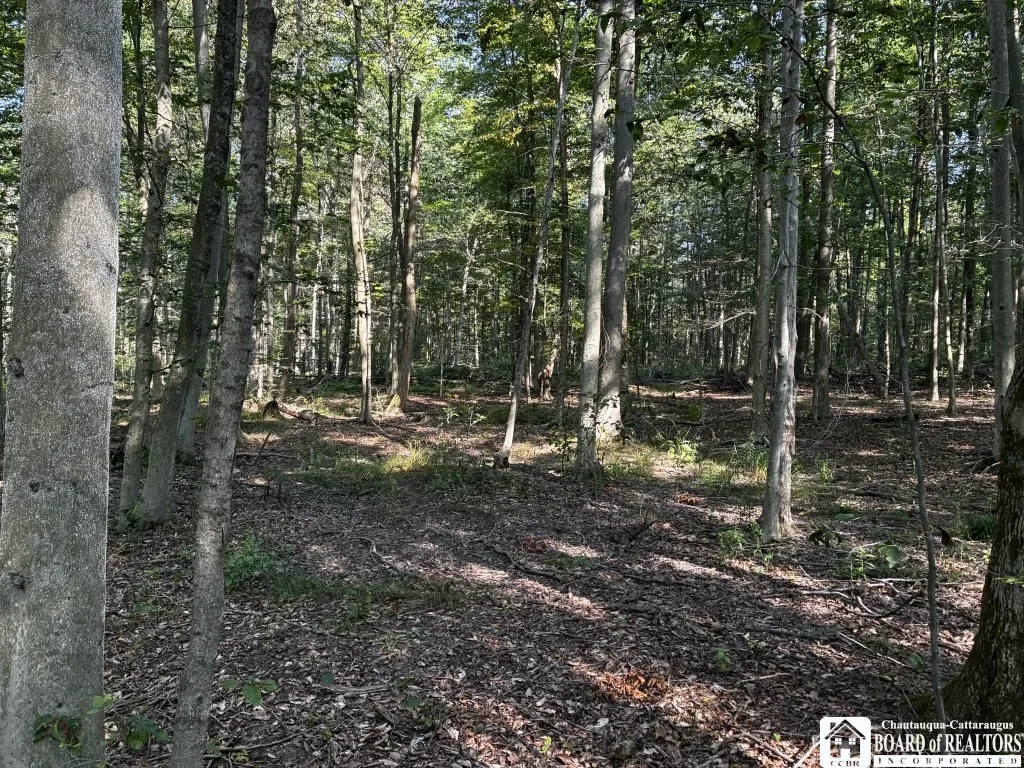 3913 Sprague Hill Road, Poland, New York 14747, Poland, New York 14747, 3 Bedrooms Bedrooms, 7 Rooms Rooms,2 BathroomsBathrooms,Residential,For Sale,3913 Sprague Hill Road, Poland, New York 14747,0,R1633515