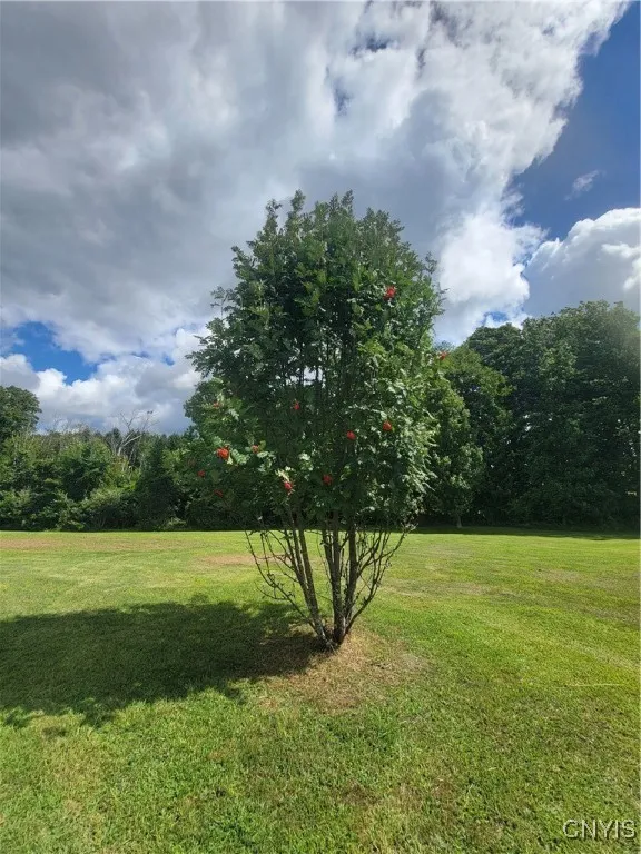 34930 State Route 126, Champion, New York 13619, Champion, New York 13619, 3 Bedrooms Bedrooms, 8 Rooms Rooms,2 BathroomsBathrooms,Residential,For Sale,34930 State Route 126, Champion, New York 13619,0,S1633575