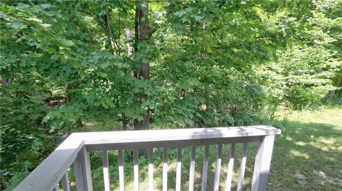 Back Porch Overlooking Scenic Creek flowing into Seneca Lake
