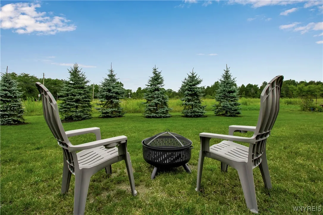 These are just a few of the 12 evergreen trees - beautiful setting!