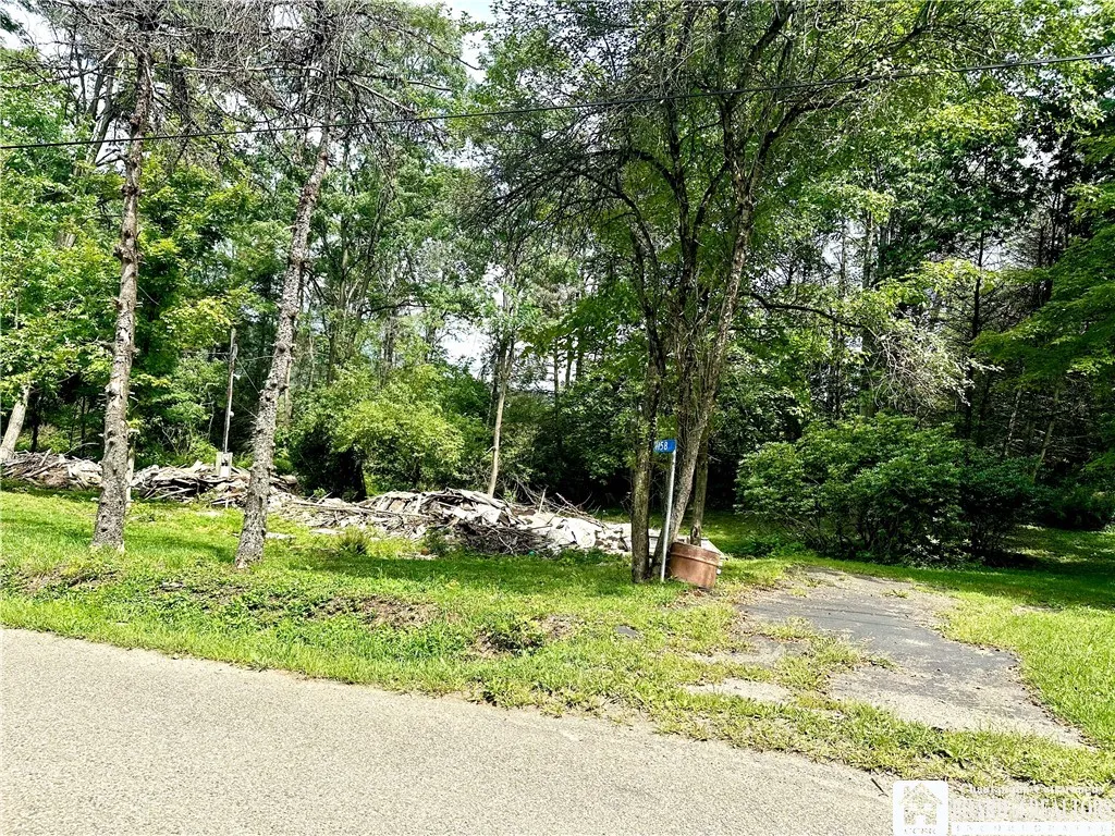 1158 Underwood Road, Hinsdale, New York 14743, Hinsdale, New York 14743, ,Land,For Sale,1158 Underwood Road, Hinsdale, New York 14743,0,R1632325