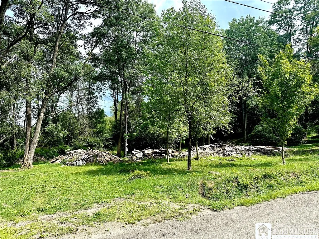 1158 Underwood Road, Hinsdale, New York 14743, Hinsdale, New York 14743, ,Land,For Sale,1158 Underwood Road, Hinsdale, New York 14743,0,R1632325