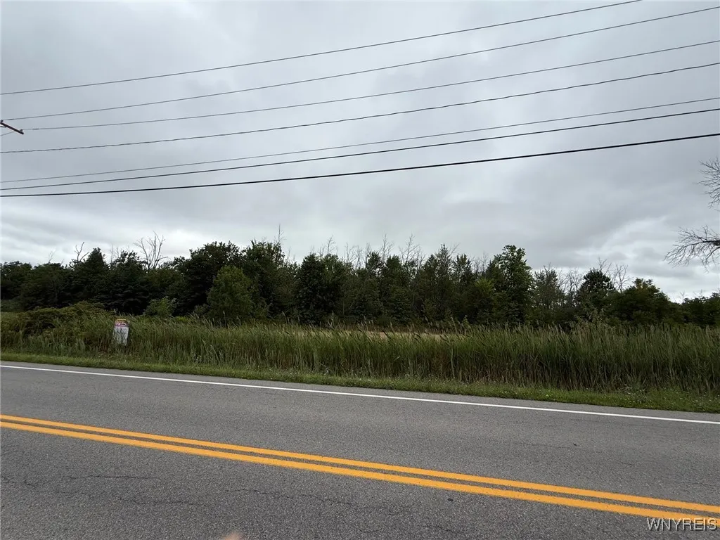 Vl Jagow Road South, Wheatfield, New York 14304, Wheatfield, New York 14304, ,Land,For Sale,Vl Jagow Road South, Wheatfield, New York 14304,0,B1633144