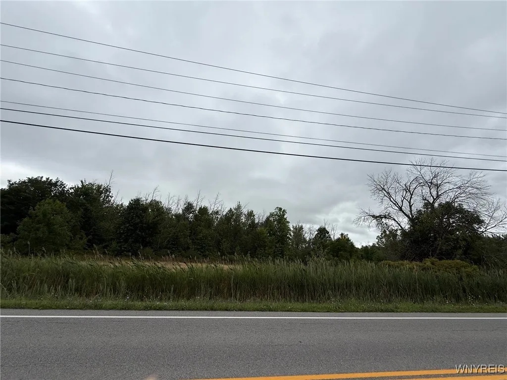 Vl Jagow Road South, Wheatfield, New York 14304, Wheatfield, New York 14304, ,Land,For Sale,Vl Jagow Road South, Wheatfield, New York 14304,0,B1633144
