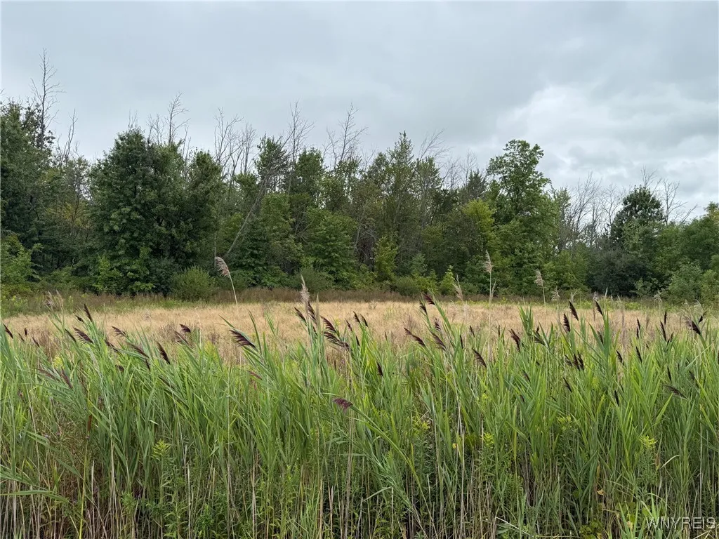 Vl Jagow Road South, Wheatfield, New York 14304, Wheatfield, New York 14304, ,Land,For Sale,Vl Jagow Road South, Wheatfield, New York 14304,0,B1633144