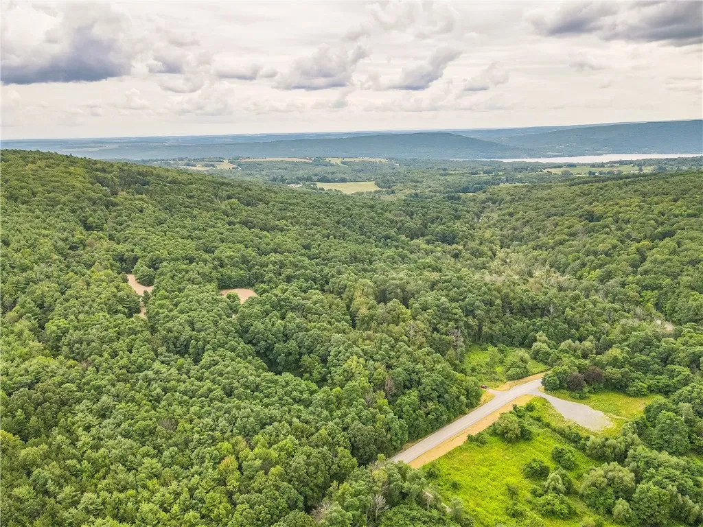 0 Dugway Road, Bristol, New York 14424, Bristol, New York 14424, ,Land,For Sale,0 Dugway Road, Bristol, New York 14424,R1633623