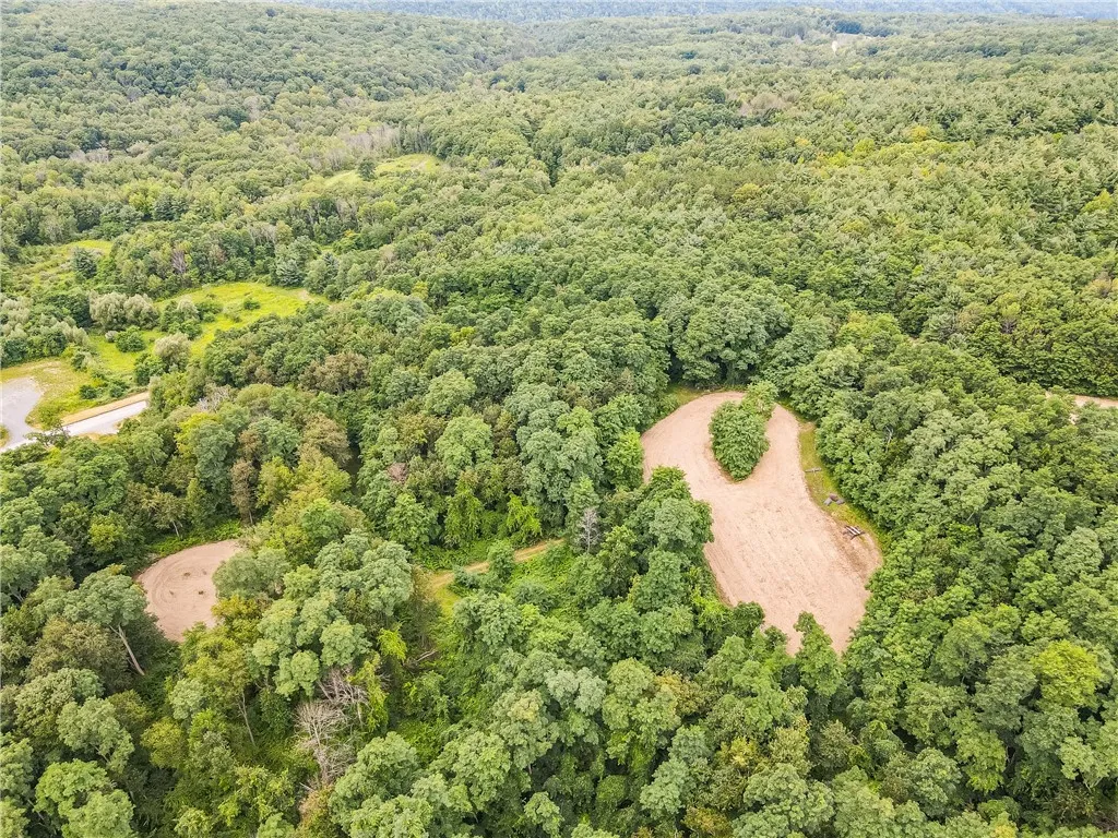 0 Dugway Road, Bristol, New York 14424, Bristol, New York 14424, ,Land,For Sale,0 Dugway Road, Bristol, New York 14424,R1633623