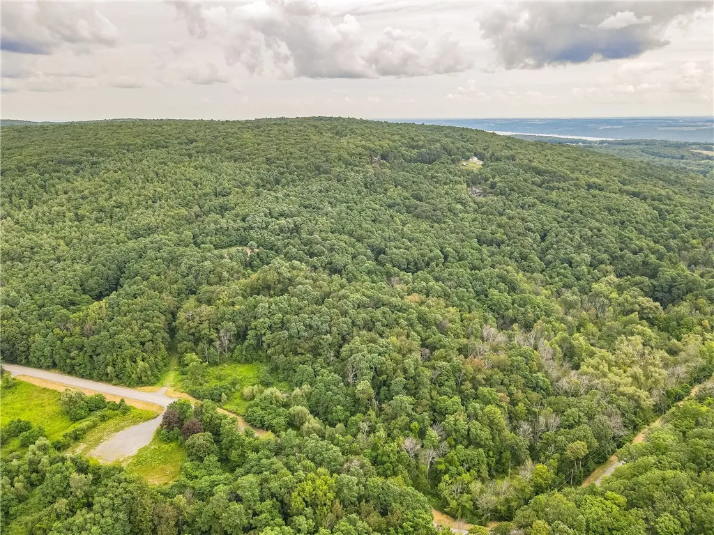 0 Dugway Road, Bristol, New York 14424, Bristol, New York 14424, ,Land,For Sale,0 Dugway Road, Bristol, New York 14424,R1633623