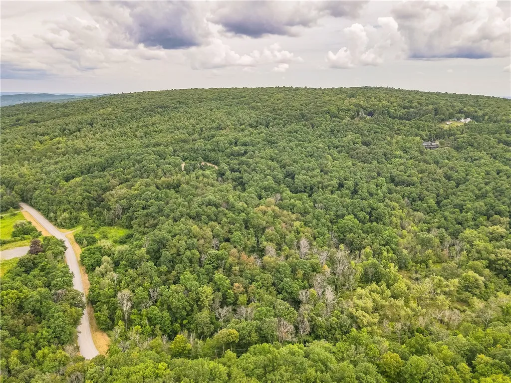 0 Dugway Road, Bristol, New York 14424, Bristol, New York 14424, ,Land,For Sale,0 Dugway Road, Bristol, New York 14424,R1633623