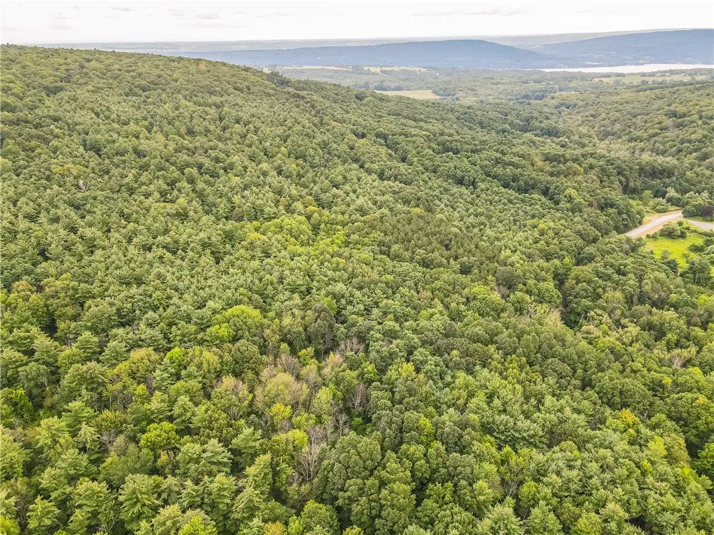 0 Dugway Road, Bristol, New York 14424, Bristol, New York 14424, ,Land,For Sale,0 Dugway Road, Bristol, New York 14424,R1633623