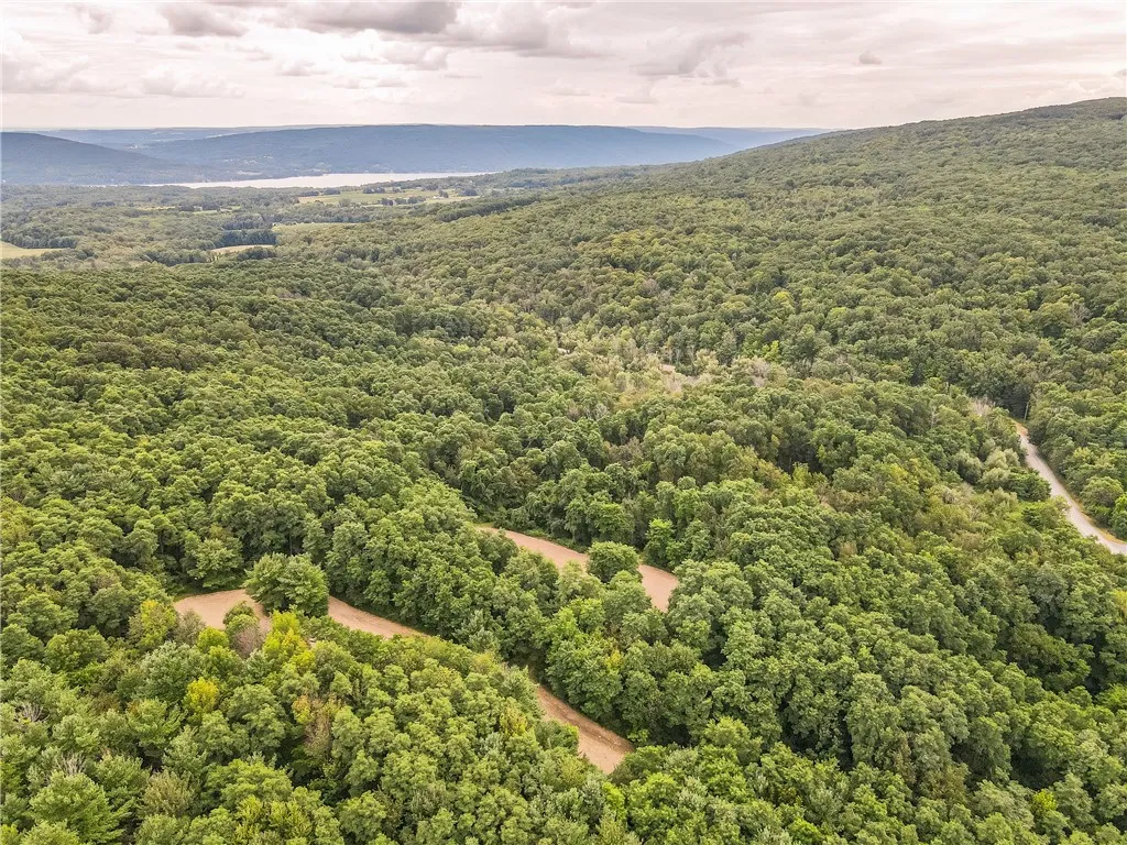 0 Dugway Road, Bristol, New York 14424, Bristol, New York 14424, ,Land,For Sale,0 Dugway Road, Bristol, New York 14424,R1633623