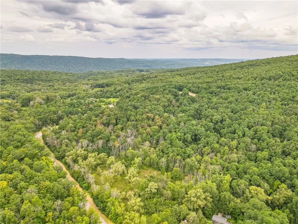 0 Dugway Road, Bristol, New York 14424, Bristol, New York 14424, ,Land,For Sale,0 Dugway Road, Bristol, New York 14424,R1633623