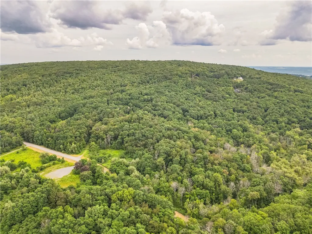 0 Dugway Road, Bristol, New York 14424, Bristol, New York 14424, ,Land,For Sale,0 Dugway Road, Bristol, New York 14424,R1633623
