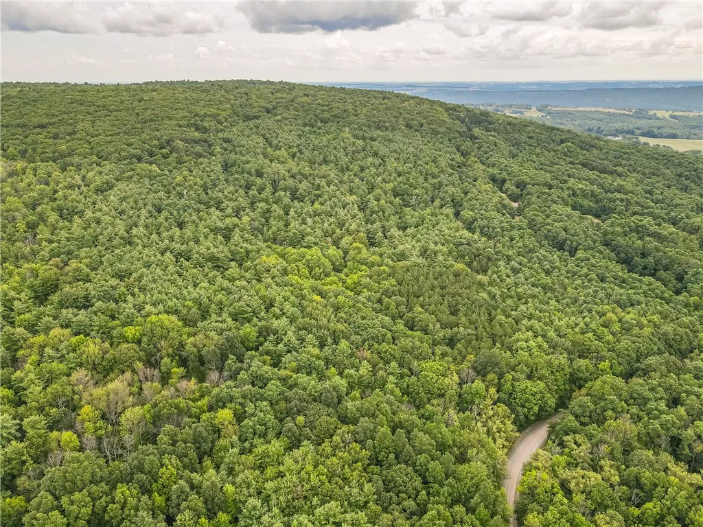 0 Dugway Road, Bristol, New York 14424, Bristol, New York 14424, ,Land,For Sale,0 Dugway Road, Bristol, New York 14424,R1633623