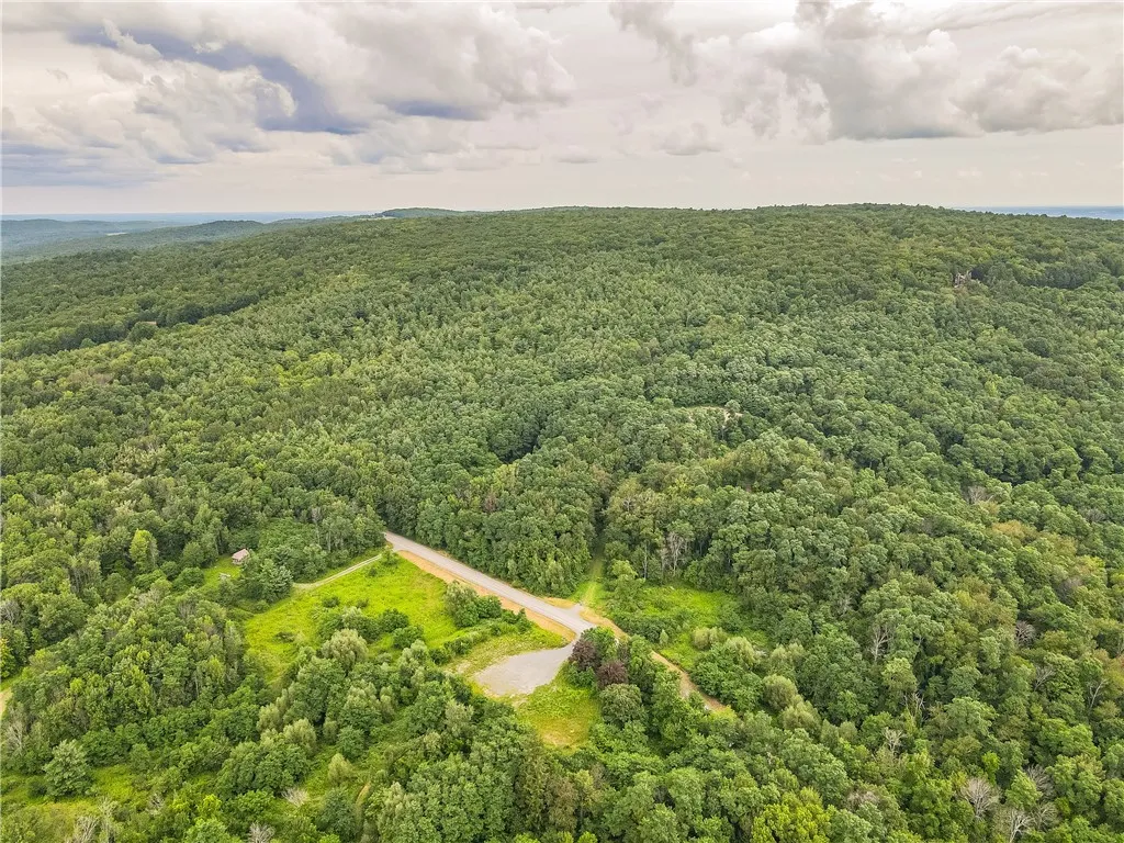 0 Dugway Road, Bristol, New York 14424, Bristol, New York 14424, ,Land,For Sale,0 Dugway Road, Bristol, New York 14424,R1633623