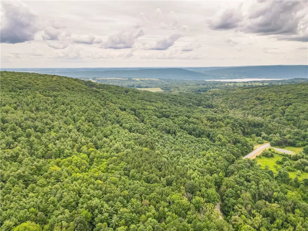 0 Dugway Road, Bristol, New York 14424, Bristol, New York 14424, ,Land,For Sale,0 Dugway Road, Bristol, New York 14424,R1633623