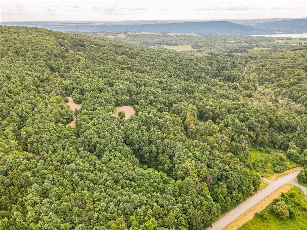 0 Dugway Road, Bristol, New York 14424, Bristol, New York 14424, ,Land,For Sale,0 Dugway Road, Bristol, New York 14424,R1633623