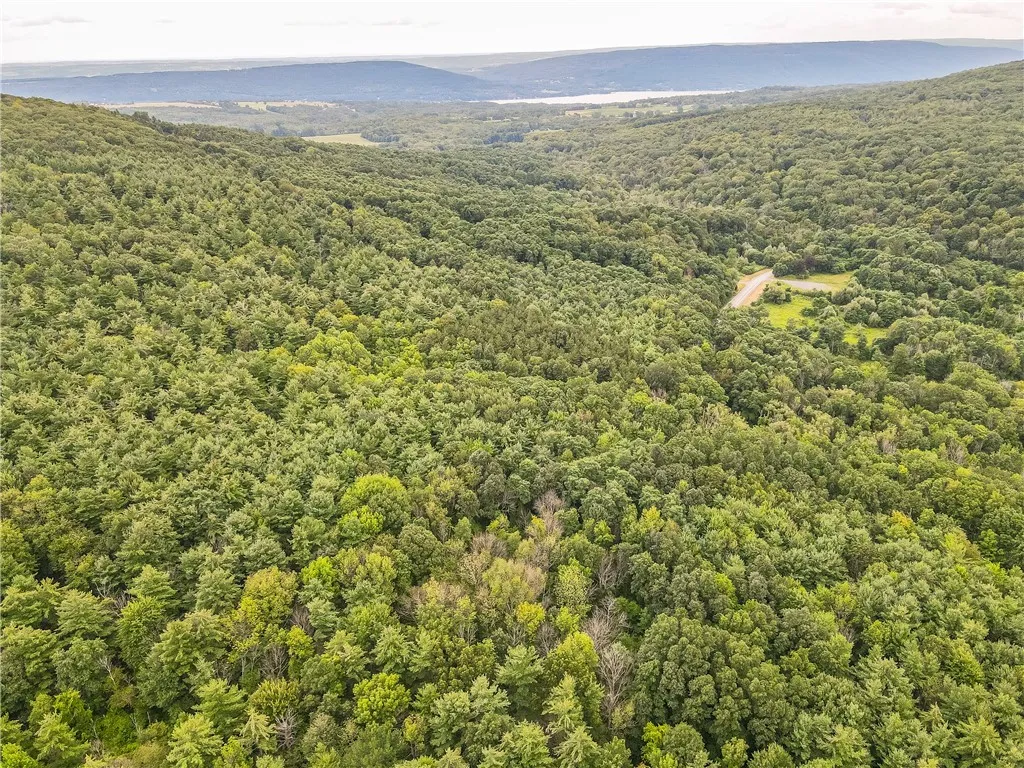 0 Dugway Road, Bristol, New York 14424, Bristol, New York 14424, ,Land,For Sale,0 Dugway Road, Bristol, New York 14424,R1633623
