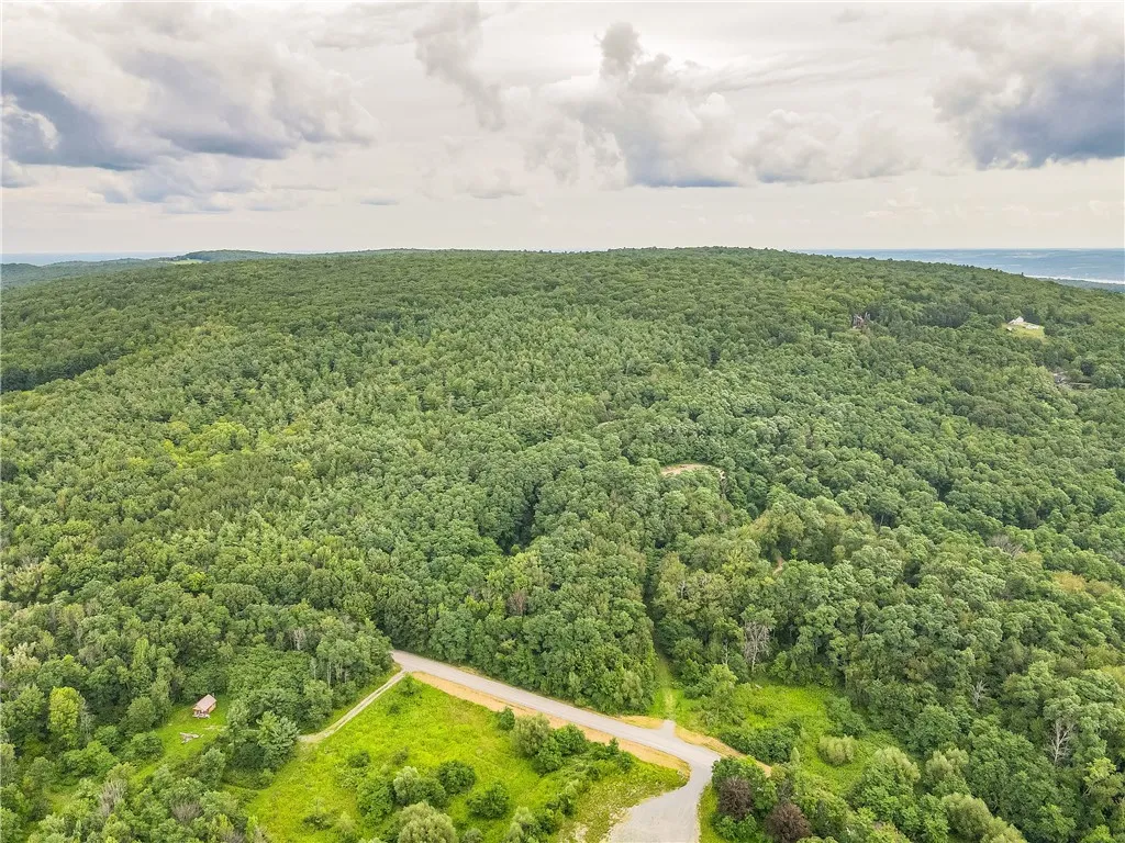 0 Dugway Road, Bristol, New York 14424, Bristol, New York 14424, ,Land,For Sale,0 Dugway Road, Bristol, New York 14424,R1633623