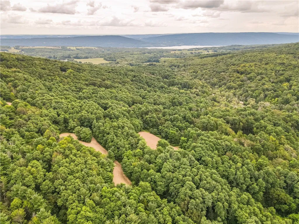 0 Dugway Road, Bristol, New York 14424, Bristol, New York 14424, ,Land,For Sale,0 Dugway Road, Bristol, New York 14424,R1633623